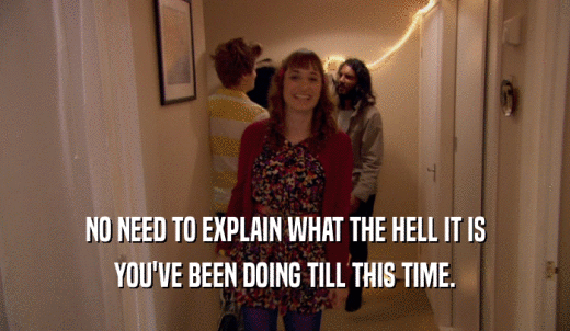 NO NEED TO EXPLAIN WHAT THE HELL IT IS YOU'VE BEEN DOING TILL THIS TIME. 