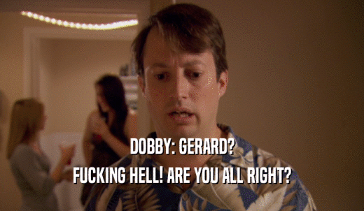 DOBBY: GERARD? FUCKING HELL! ARE YOU ALL RIGHT? 
