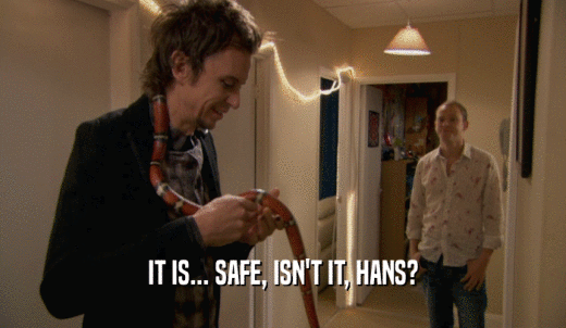 IT IS... SAFE, ISN'T IT, HANS?  