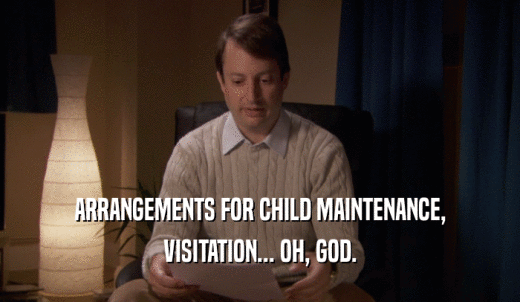ARRANGEMENTS FOR CHILD MAINTENANCE, VISITATION... OH, GOD. 