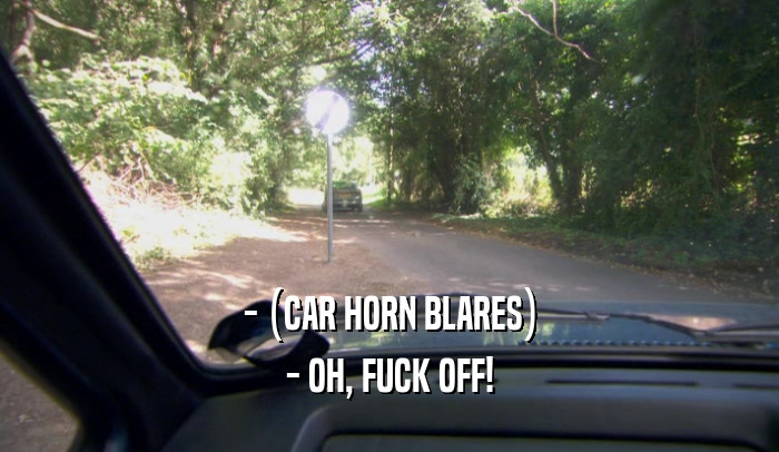 - (CAR HORN BLARES)
 - OH, FUCK OFF!
 