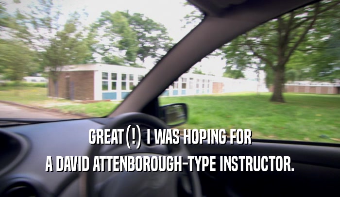 GREAT(!) I WAS HOPING FOR A DAVID ATTENBOROUGH-TYPE INSTRUCTOR. 