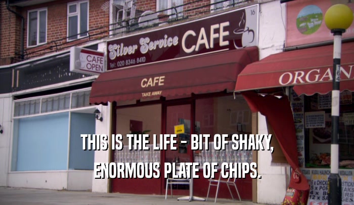 THIS IS THE LIFE - BIT OF SHAKY, ENORMOUS PLATE OF CHIPS. 