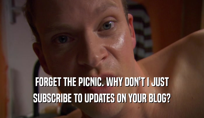 FORGET THE PICNIC. WHY DON'T I JUST SUBSCRIBE TO UPDATES ON YOUR BLOG? 