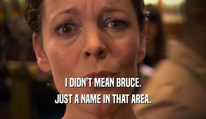 I DIDN'T MEAN BRUCE. JUST A NAME IN THAT AREA. 