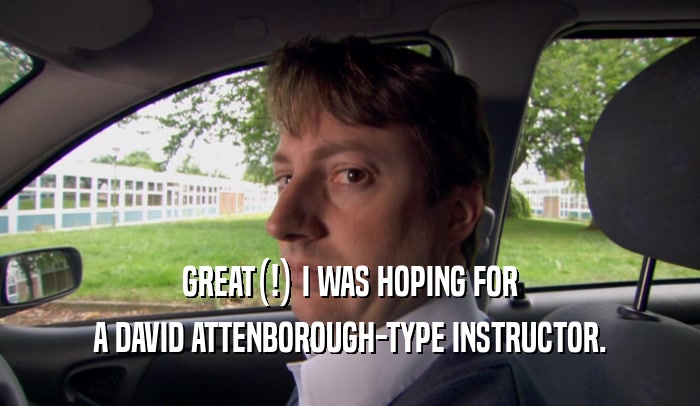 GREAT(!) I WAS HOPING FOR A DAVID ATTENBOROUGH-TYPE INSTRUCTOR. 