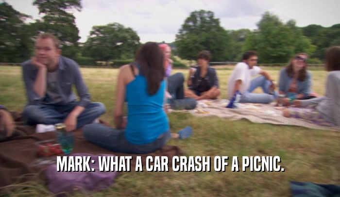 MARK: WHAT A CAR CRASH OF A PICNIC.  