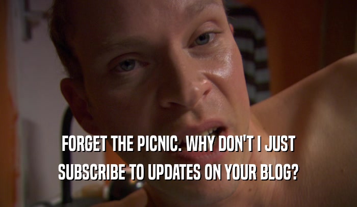 FORGET THE PICNIC. WHY DON'T I JUST SUBSCRIBE TO UPDATES ON YOUR BLOG? 