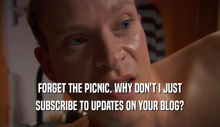 FORGET THE PICNIC. WHY DON'T I JUST SUBSCRIBE TO UPDATES ON YOUR BLOG? 