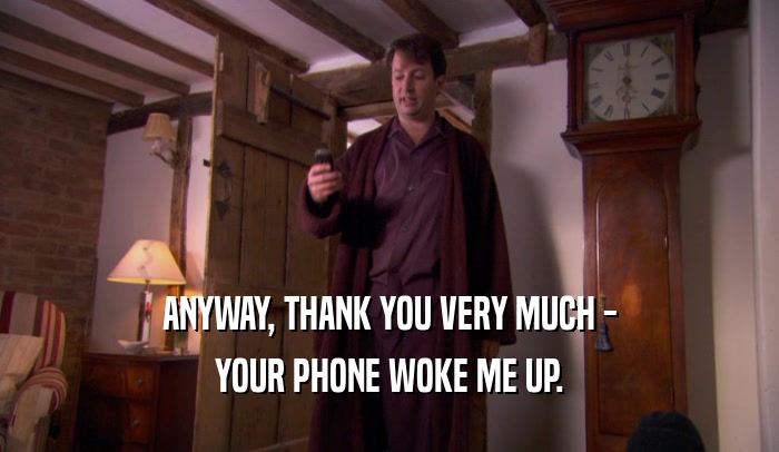 ANYWAY, THANK YOU VERY MUCH - YOUR PHONE WOKE ME UP. 