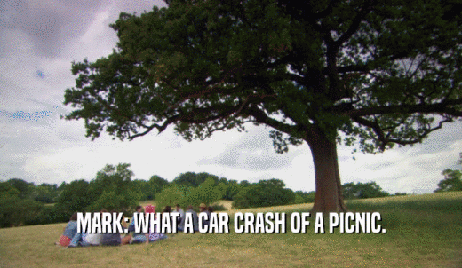 MARK: WHAT A CAR CRASH OF A PICNIC.  