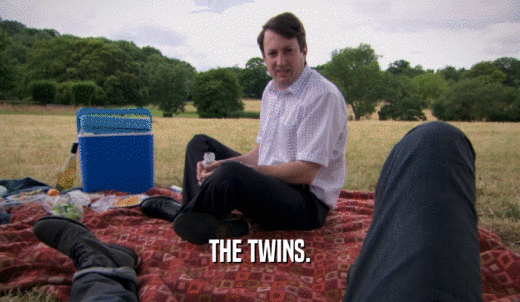 THE TWINS.  