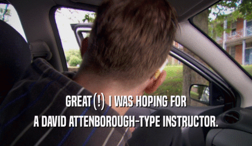GREAT(!) I WAS HOPING FOR A DAVID ATTENBOROUGH-TYPE INSTRUCTOR. 