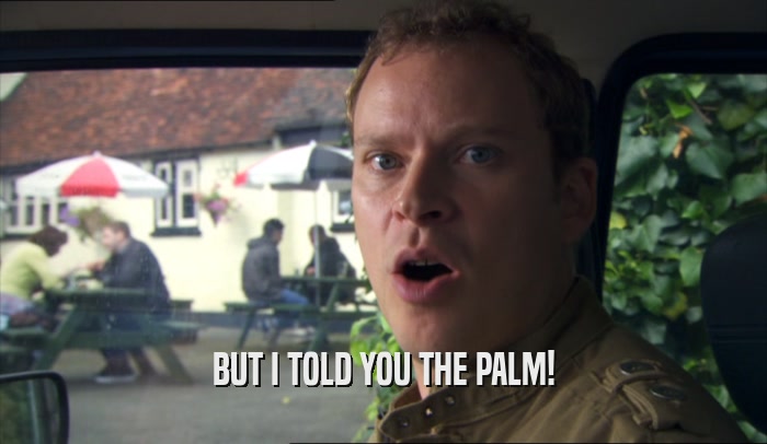 BUT I TOLD YOU THE PALM!  