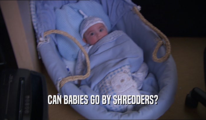 CAN BABIES GO BY SHREDDERS?  