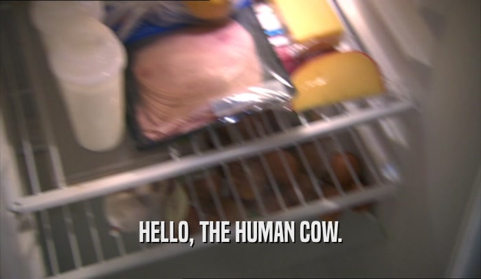 HELLO, THE HUMAN COW.  