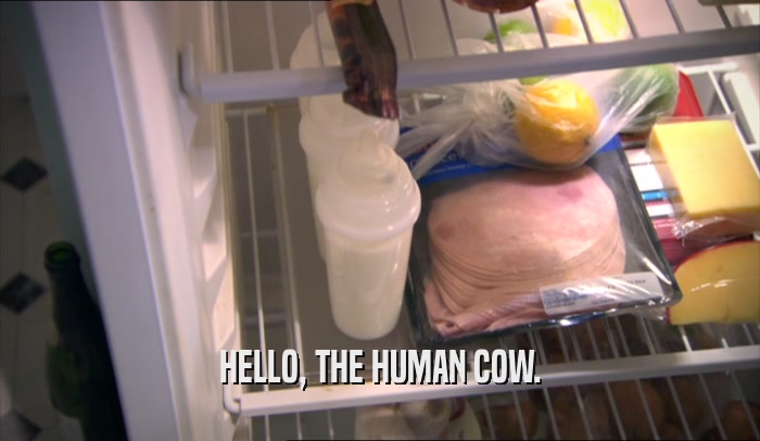 HELLO, THE HUMAN COW.  