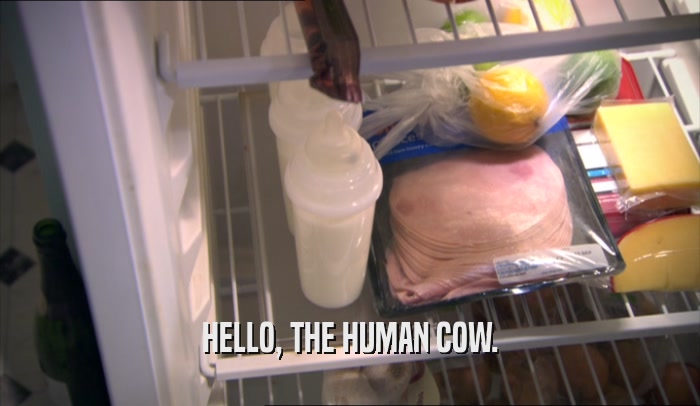HELLO, THE HUMAN COW.  