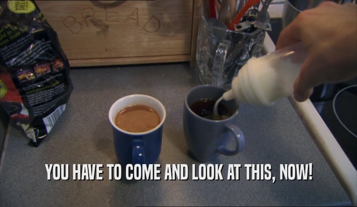 YOU HAVE TO COME AND LOOK AT THIS, NOW!  