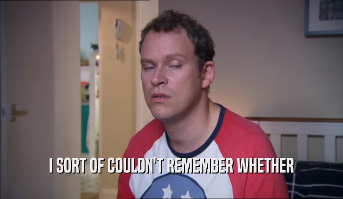 I SORT OF COULDN'T REMEMBER WHETHER  