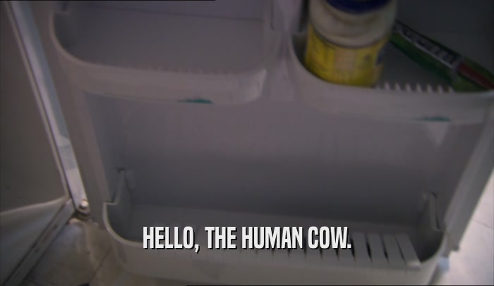 HELLO, THE HUMAN COW.  