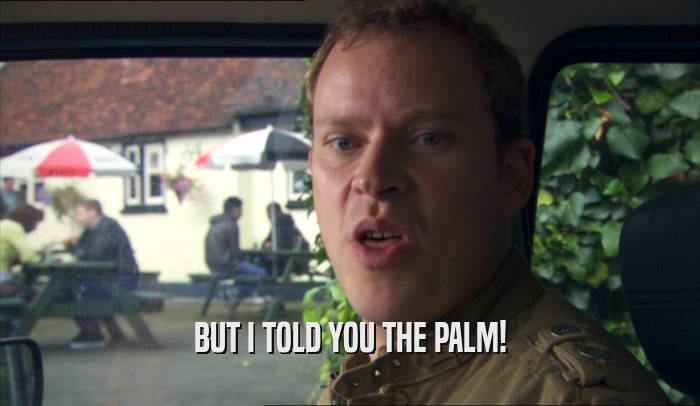 BUT I TOLD YOU THE PALM!  