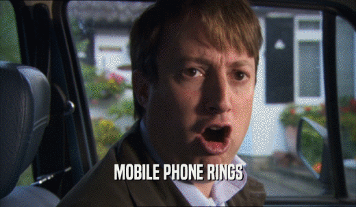 MOBILE PHONE RINGS  