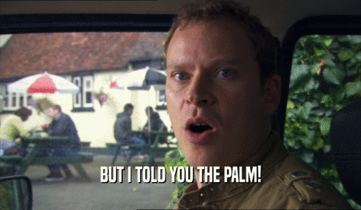 BUT I TOLD YOU THE PALM!  