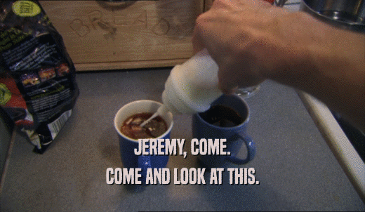JEREMY, COME. COME AND LOOK AT THIS. 