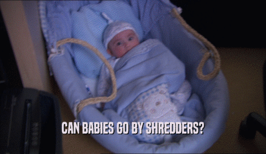 CAN BABIES GO BY SHREDDERS?  