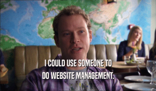 I COULD USE SOMEONE TO DO WEBSITE MANAGEMENT. 