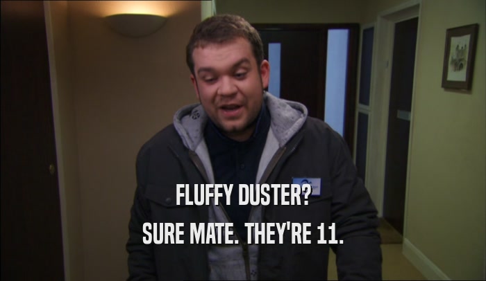 FLUFFY DUSTER? SURE MATE. THEY'RE 11. 