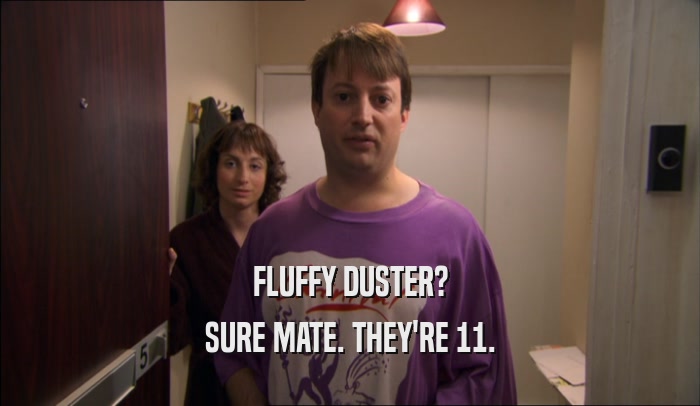 FLUFFY DUSTER? SURE MATE. THEY'RE 11. 