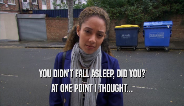 YOU DIDN'T FALL ASLEEP, DID YOU? AT ONE POINT I THOUGHT... 