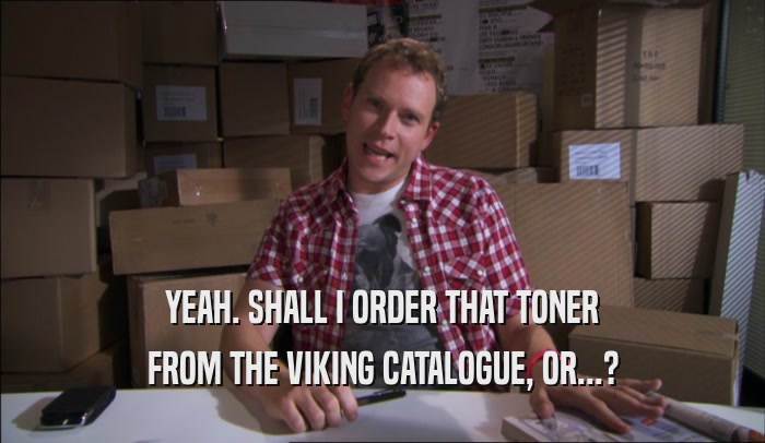YEAH. SHALL I ORDER THAT TONER FROM THE VIKING CATALOGUE, OR...? 