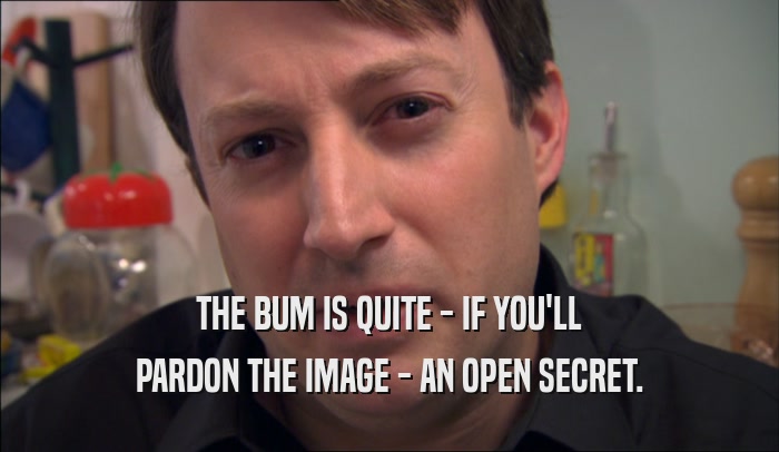 THE BUM IS QUITE - IF YOU'LL
 PARDON THE IMAGE - AN OPEN SECRET.
 