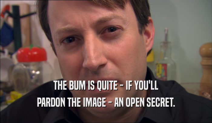 THE BUM IS QUITE - IF YOU'LL PARDON THE IMAGE - AN OPEN SECRET. 