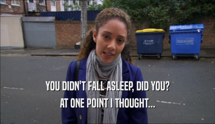 YOU DIDN'T FALL ASLEEP, DID YOU? AT ONE POINT I THOUGHT... 
