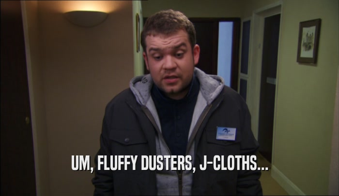 UM, FLUFFY DUSTERS, J-CLOTHS...  