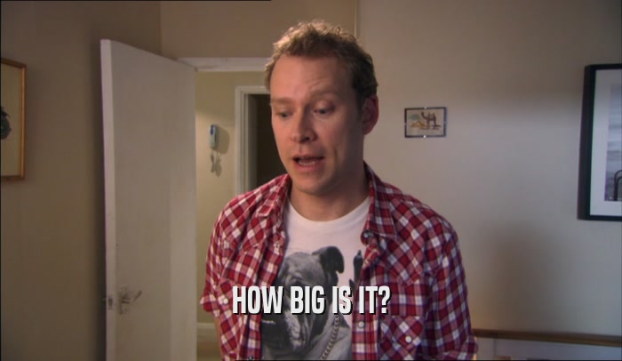 HOW BIG IS IT?  