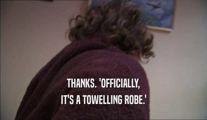 THANKS. 'OFFICIALLY, IT'S A TOWELLING ROBE.' 