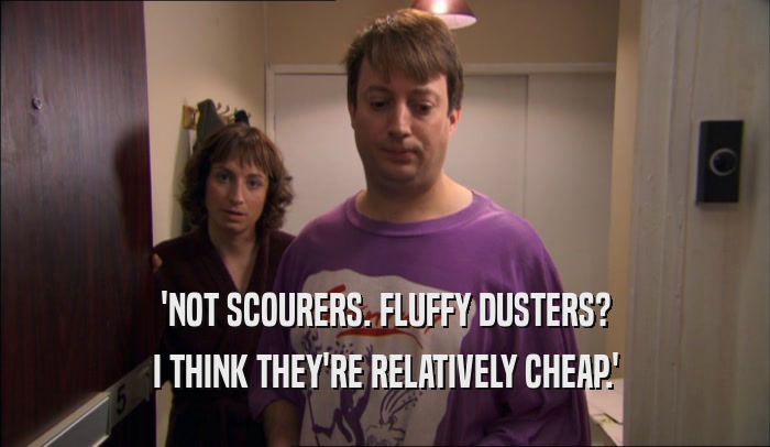 'NOT SCOURERS. FLUFFY DUSTERS? I THINK THEY'RE RELATIVELY CHEAP.' 