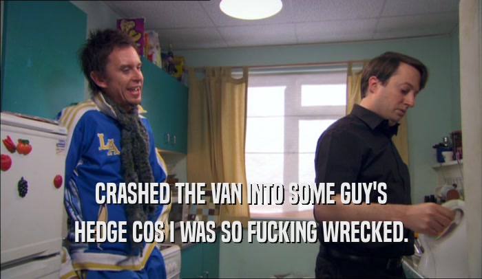 CRASHED THE VAN INTO SOME GUY'S HEDGE COS I WAS SO FUCKING WRECKED. 