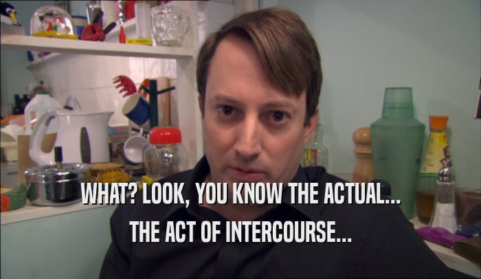 WHAT? LOOK, YOU KNOW THE ACTUAL... THE ACT OF INTERCOURSE... 
