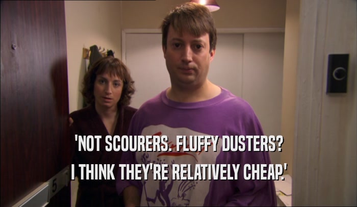 'NOT SCOURERS. FLUFFY DUSTERS? I THINK THEY'RE RELATIVELY CHEAP.' 