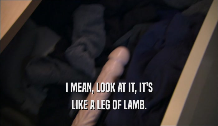 I MEAN, LOOK AT IT, IT'S LIKE A LEG OF LAMB. 