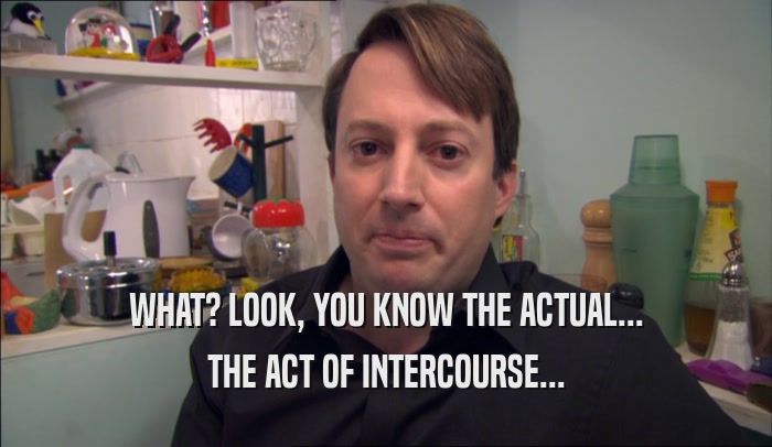 WHAT? LOOK, YOU KNOW THE ACTUAL... THE ACT OF INTERCOURSE... 