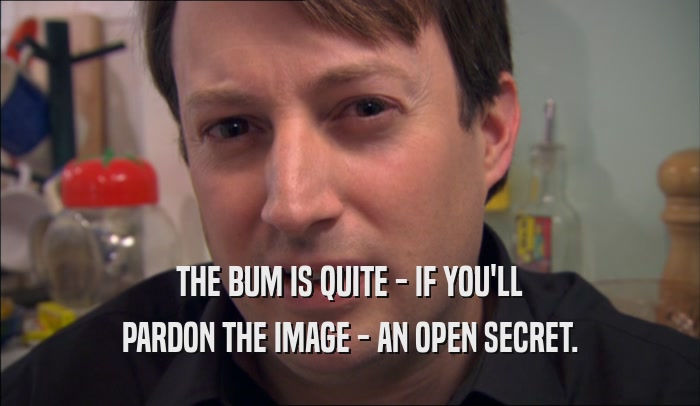 THE BUM IS QUITE - IF YOU'LL
 PARDON THE IMAGE - AN OPEN SECRET.
 