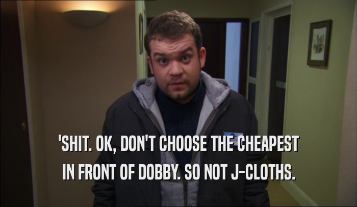 'SHIT. OK, DON'T CHOOSE THE CHEAPEST IN FRONT OF DOBBY. SO NOT J-CLOTHS. 