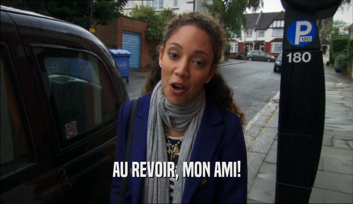 AU REVOIR, MON AMI!  